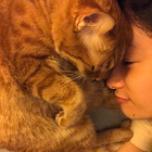 Profilbild für Lihong Q