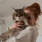 Profilbild für Lea W