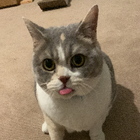 Profilbild für Elena B