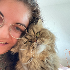Profilbild für Leyla A