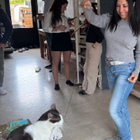 Profielfoto voor Lina B