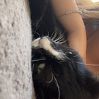 Profilbild für Lena S