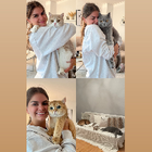 Profilbild für Vicky A