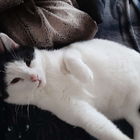 Avatar pour Alexandra l