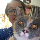 Profilbild für Yan M