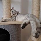 Profilbild für Katja L