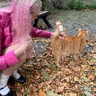 Profielfoto voor Sophie W