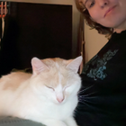 Profilbild für Wera M