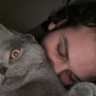 Profilbild für Melih T