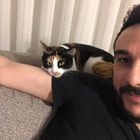 Profilbild für Berkan H