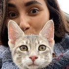 Avatar pour Mona P