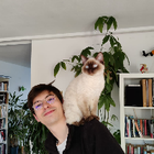 Avatar pour Corentin L