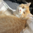 Profilbild für Thabea H