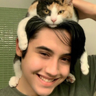 Profilbild für Felipe J