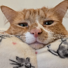 Avatar for Nadiyah D