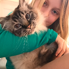 Profilbild für Anna S