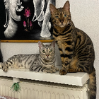 Profilbild für Joanne S