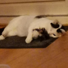 Profielfoto voor Maaike B