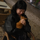 Profilbild für Peilin P