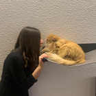 Profilbild für Vanessa B