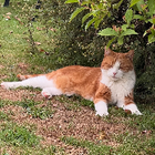 Profilbild für Perla L