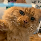 Avatar for Sabrina L