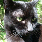 Profilbild für Leonie S