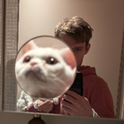 Profilbild für Fabian S