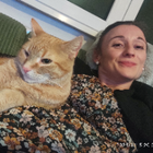 Profilbild für Violetta M