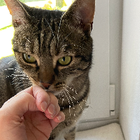 Profilbild für Dani B