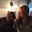 Profielfoto voor Janna v