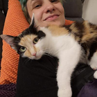 Profilbild für Rabea R