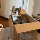 Avatar for Matilda T