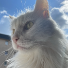 Profilbild für Dylan B