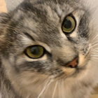 Profilbild für Joel S