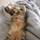 Profilbild für Stephanie G