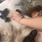 Profilbild für Angelina B