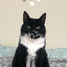 Avatar for Charline R