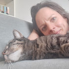 Profilbild für Nora S
