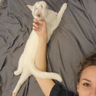 Profilbild für Elena B