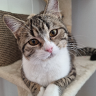 Avatar pour Deborah V