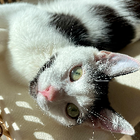 Profilbild für Sophie P