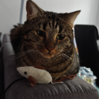 Profilbild für Kevin E