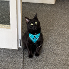 Avatar for Kirstie F