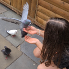 Avatar for paulina S