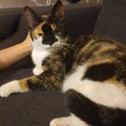 Profielfoto voor Marije J