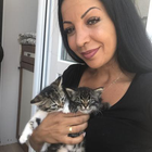 Profilbild für Cansel D