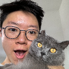 Avatar for Junting C