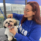 Profilbild für Camila V