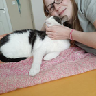 Profilbild für Lena B